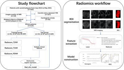 A Radiomics Approach to Assess High Risk Carotid Plaques: A Non-invasive Imaging Biomarker, Retrospective Study